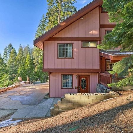 Cozy Bear South-Inside Yosemite National Park Villa Yosemite West Exteriör bild